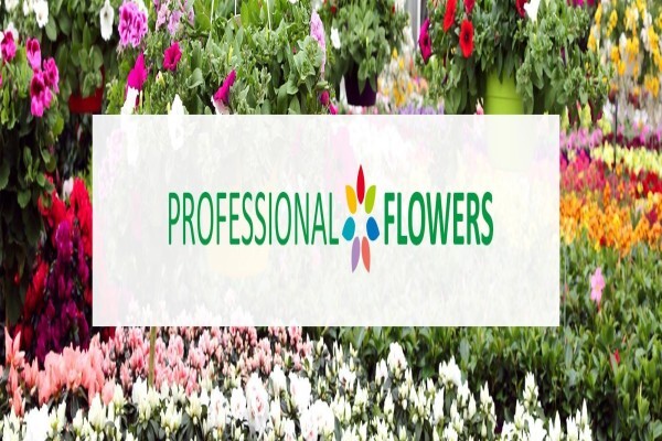 Sakata Seed Southern Africa (Pty) Ltd