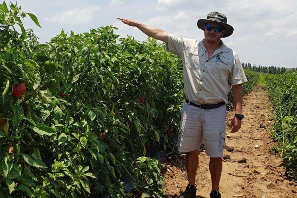 Sakata Seed Southern Africa (Pty) Ltd