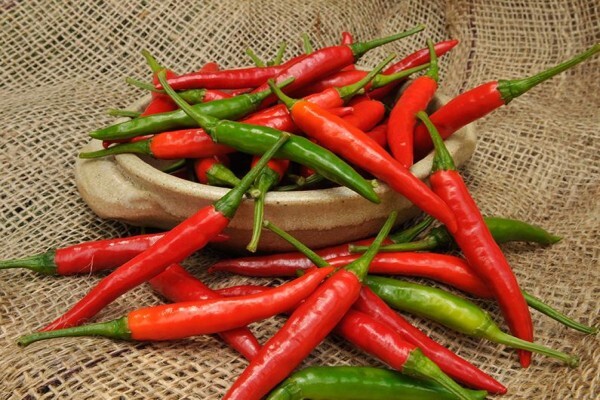Sakata Seed Southern Africa (Pty) Ltd
