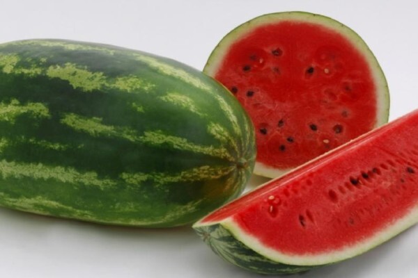 Sakata Seed Southern Africa (Pty) Ltd