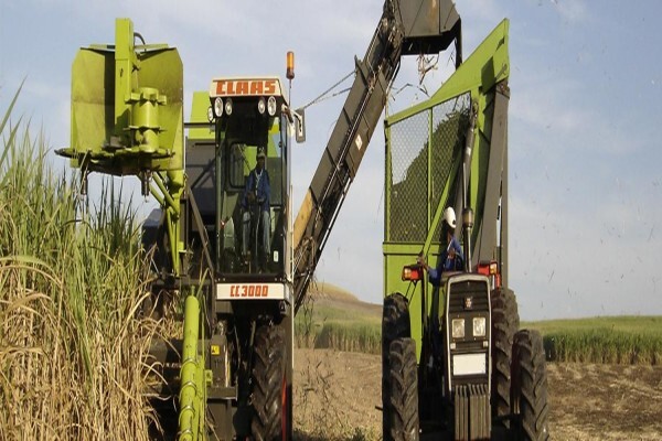 Crickmay & Associates (Pty) Ltd