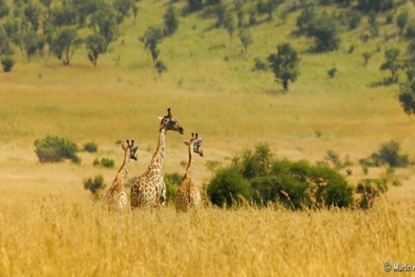 Hodge Podge Lodge & Backpackers