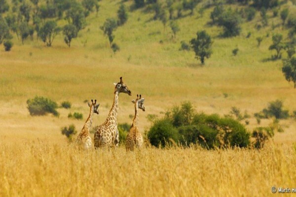 Hodge Podge Lodge & Backpackers