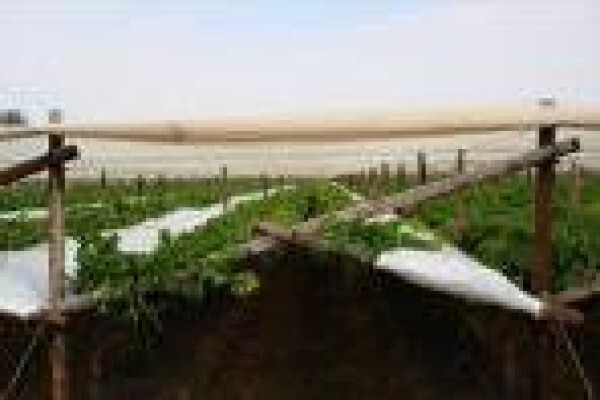 Landpak