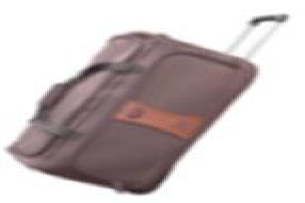 Luggage Man