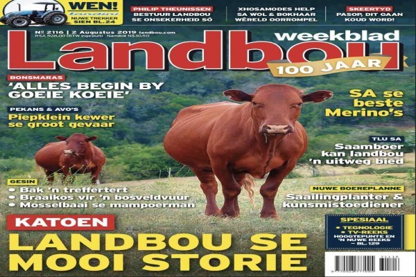 Sunday Sun