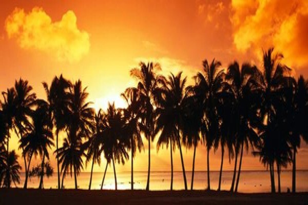 Kennington Palms B & B/Self Catering