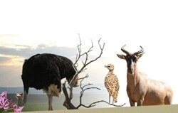 Economic Development Tourism & Environmental Affairs