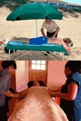 Body Basics