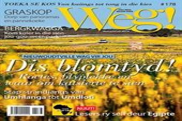 DLT Media SA (Pty) Ltd