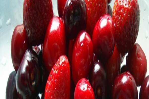 Vivit Foods CC