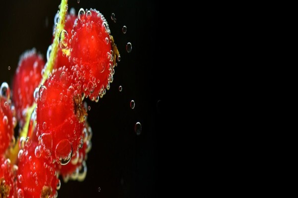 Fruit Fusion CC