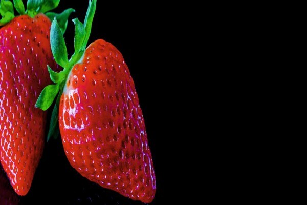 Fruit Fusion CC