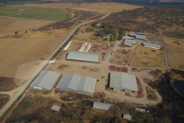 Tugela Steel