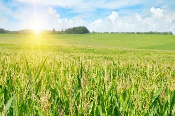 Villa Crop Protection