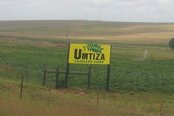 Umtiza Farmer's Corp:Branch