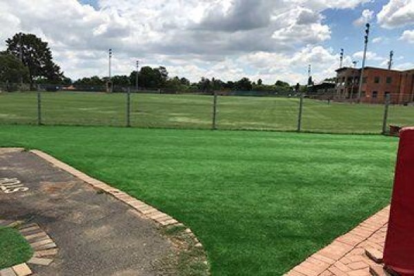 African Turf