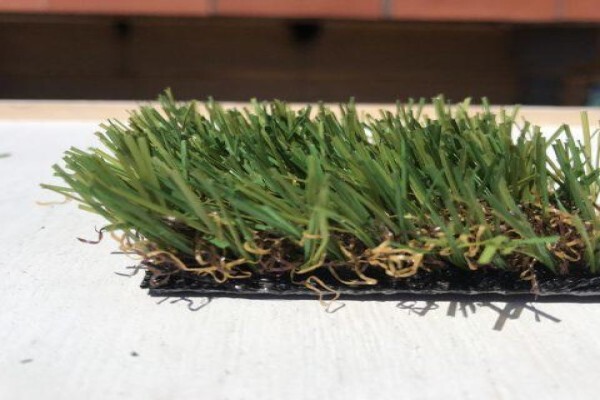 African Turf