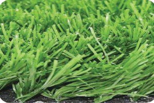 African Turf