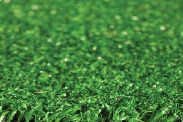 African Turf