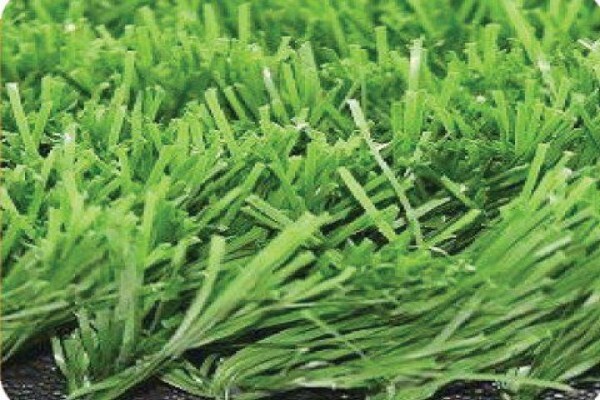 African Turf