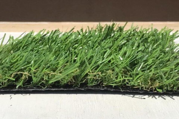 African Turf