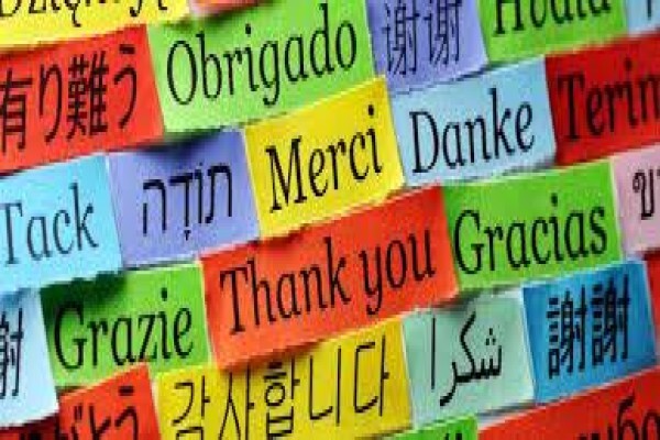 Lingo Links Language Clubs