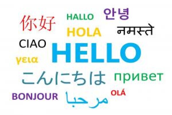 Lingo Links Language Clubs