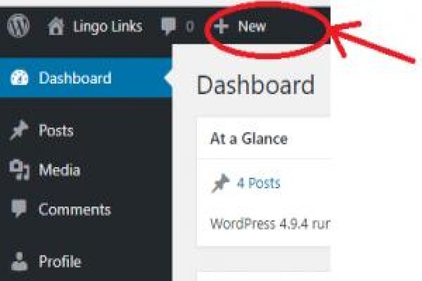 Lingo Links Language Clubs