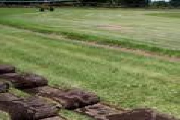 Quick Lawn