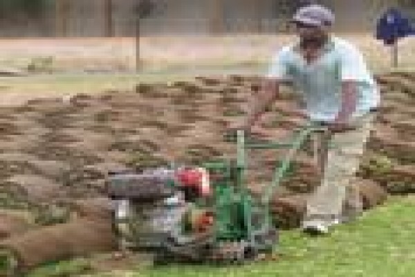 Quick Lawn