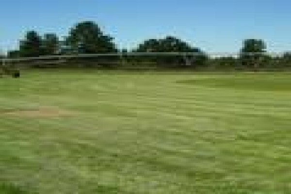 Quick Lawn