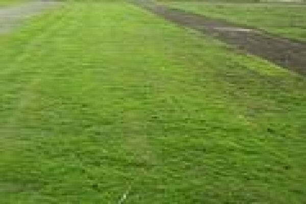 Quick Lawn