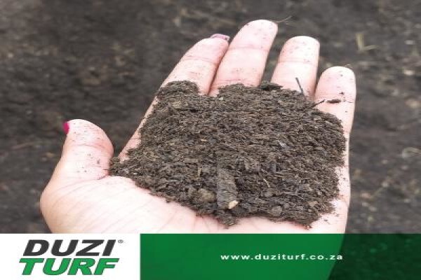 Duzi Turf