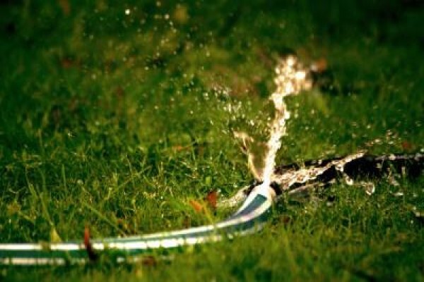 Duzi Turf