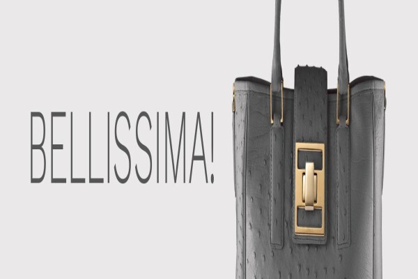 Lorenzi Exclusive Ladies Handbags (Pty) Ltd