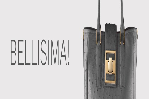 Lorenzi Exclusive Ladies Handbags (Pty) Ltd