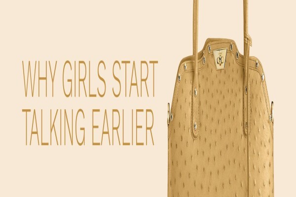 Lorenzi Exclusive Ladies Handbags (Pty) Ltd