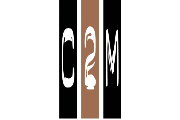 C 2 M Chartered Accountants Inc