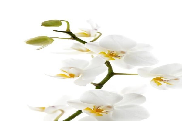 Lasting Impression Beauty Salon