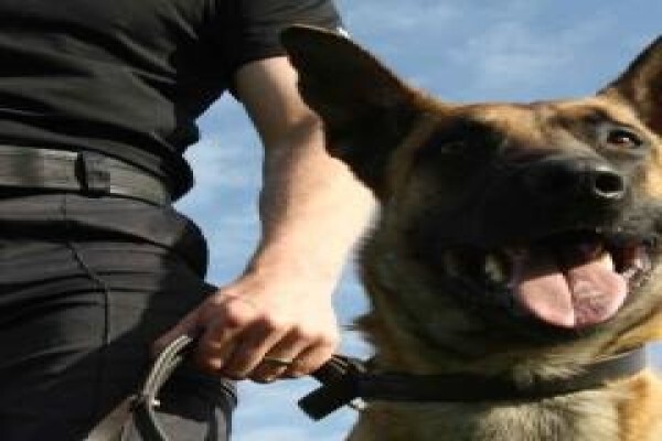Noordvaal Security