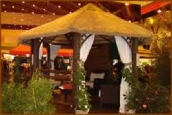 Africa Thatch CC