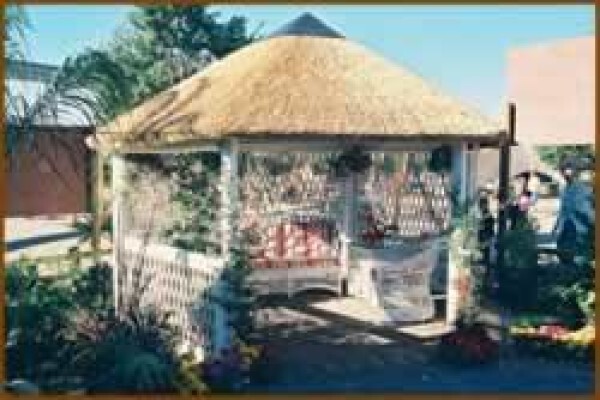 Africa Thatch CC