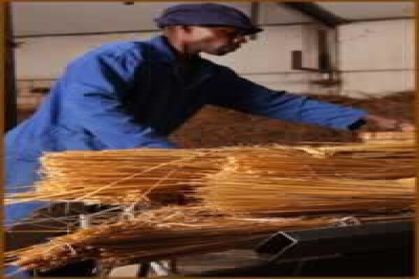 Africa Thatch CC