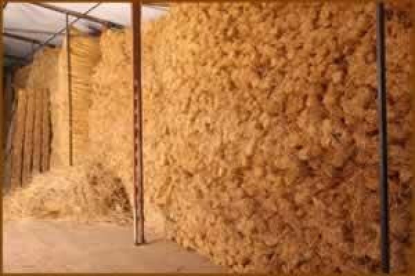 Africa Thatch CC