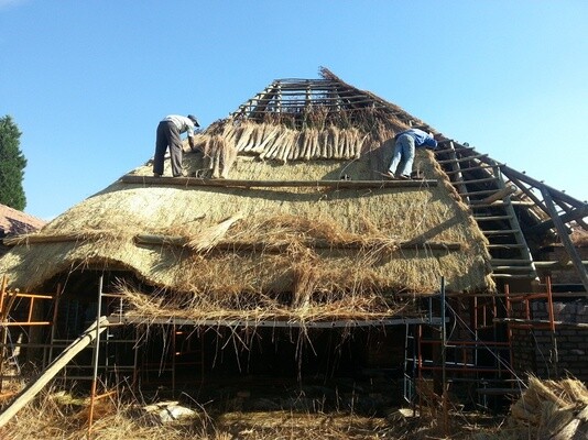 Inry Pale & Top Thatch