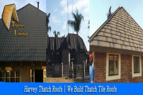 Pretoria Thatchers