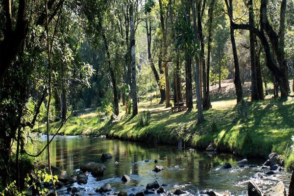 Kruger Lowveld Chamber Of Business & Tourism:Casterbridge Farm White Rvr
