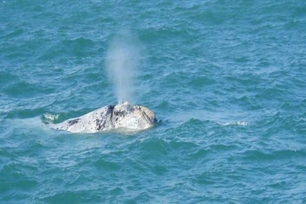 Stilbaai Tourism Bureau
