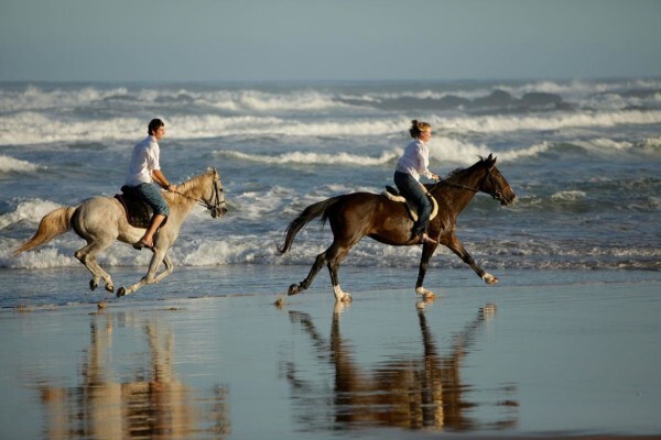 Nelson Mandela Bay Tourism:INFORMATION